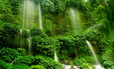 air terjun benang kelambu