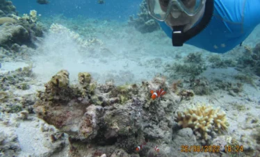 gili bidara bawah laut