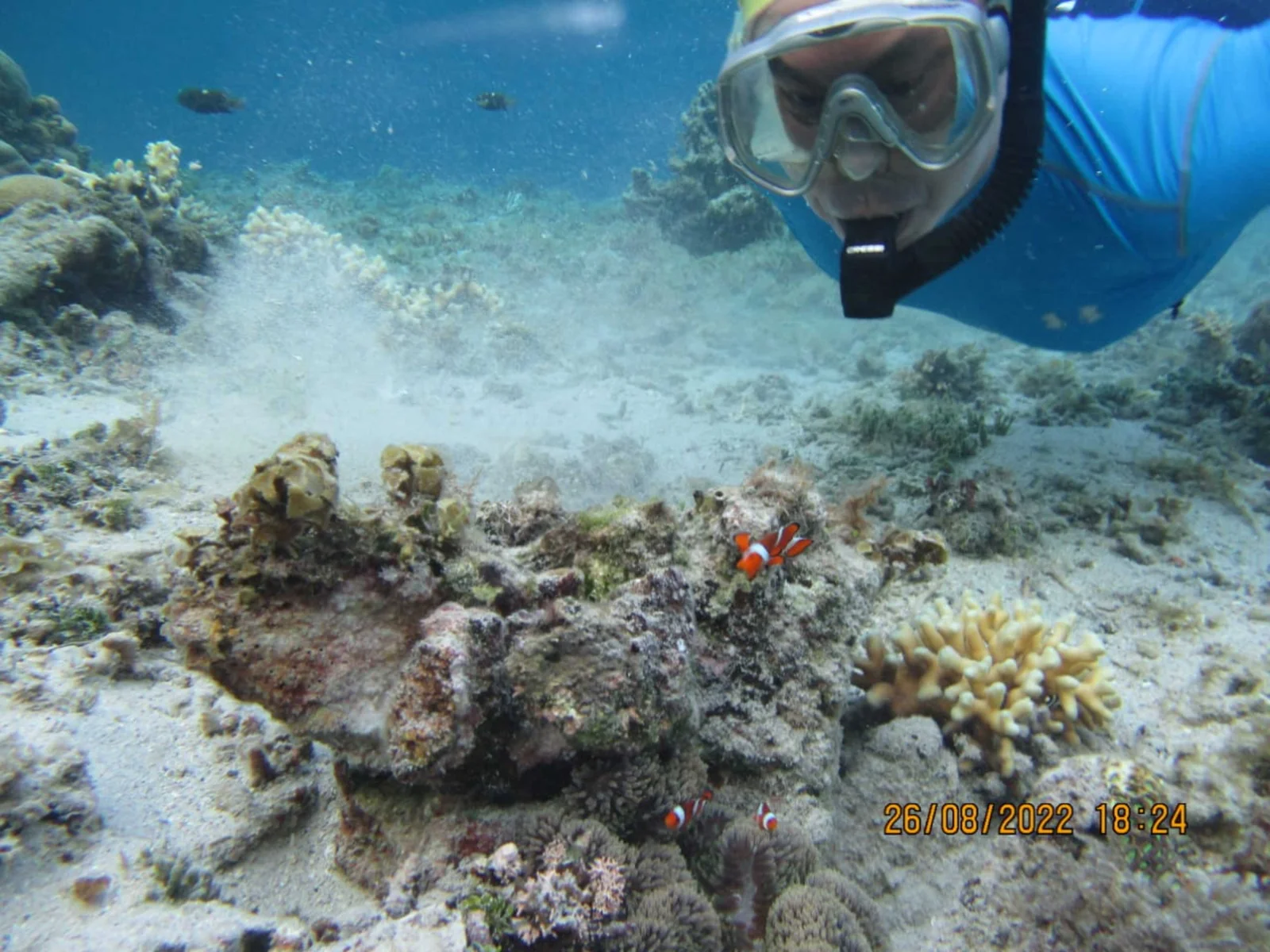 gili bidara bawah laut