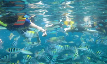 snorkling 8