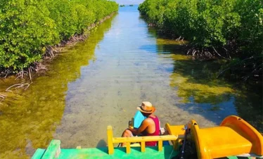 gili lampu the mangrove
