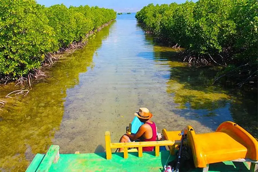 gili lampu the mangrove